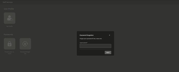 Screenshot from 2026-02-19 13-00-37