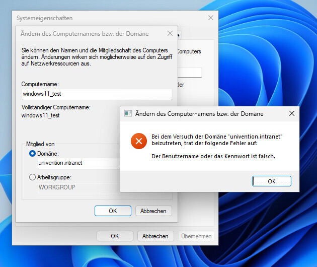 Windows11_Fehlermeldung